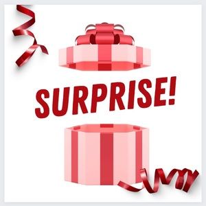 Surprise Bundle of Pouches